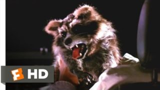 Harold & Kumar Go to White Castle – Rabid Raccoon Attack Scene (3/10) | Movieclips