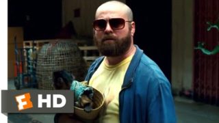 The Hangover Part II (2011) – Phil Gets Shot Scene (4/6) | Movieclips
