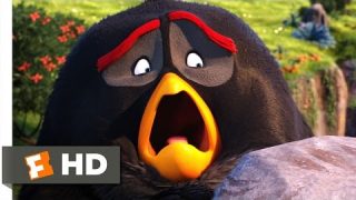 Angry Birds – The Lake of Whiz-dom Scene (6/10) | Movieclips