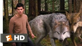 Twilight: Breaking Dawn Part 2 (3/10) Movie CLIP – A Wolf Thing (2012) HD
