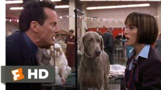 Best in Show (6/11) Movie CLIP – Busy Bee (2000) HD