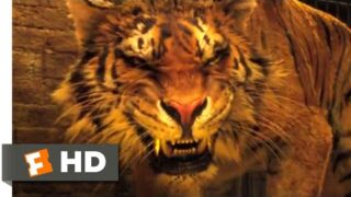 Dolittle (2020) – Tiger Therapy Scene (6/10) | Movieclips